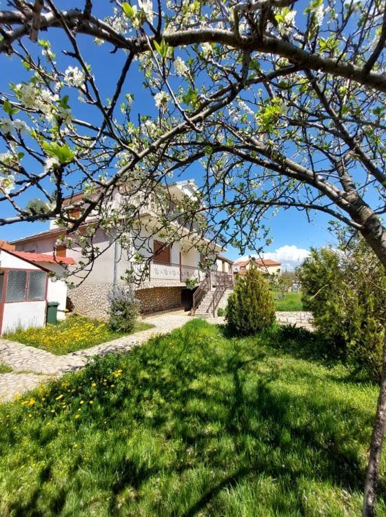 Prespa'S Balcony Guesthouse Dolna Gorica Eksteriør bilde